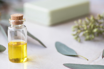 Fresh Eucalyptus Oil