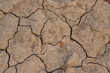  dry land