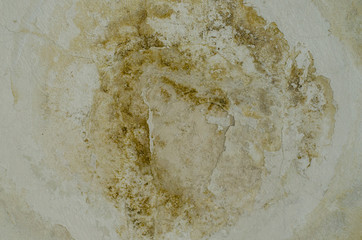 Moisture and cyclically mildew spots, drips can crumble a building