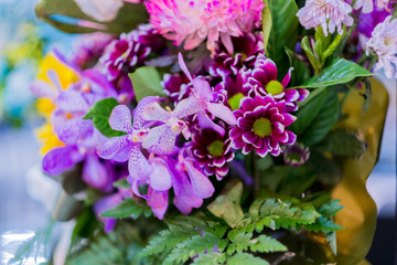 selective focus of colour flower.