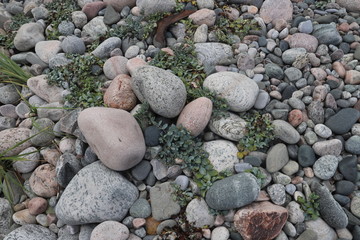 stones on beach