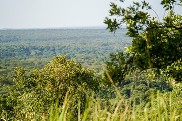 Fototapeta na wymiar Landscape in Uganda