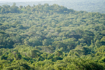 Landscape in Uganda