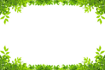Leaf frame isolated on white background.