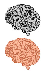 the illustration men brain 