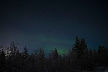 Fototapeta na wymiar Aurora in Murmansk