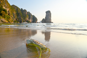 palm tree on the beach Thailand, ao nang coast, sunset on the beach