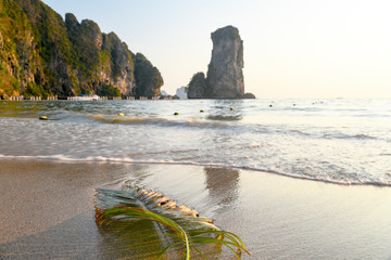 palm tree on the beach Thailand, ao nang coast, sunset on the beach