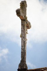 cross on tree