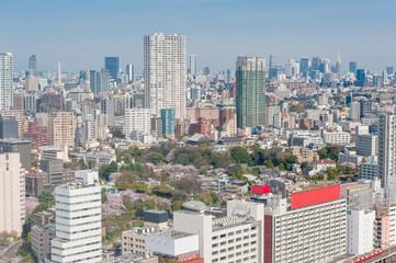 Fototapeta na wymiar Aerial photography , Cityscape overlooking Tokyo, Japan