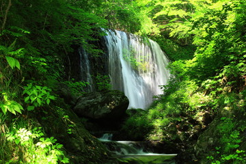 夏の滝