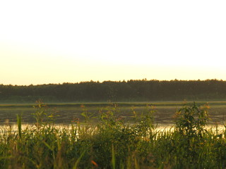 Fototapeta premium sunset on the lake