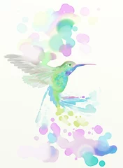 Crédence de cuisine en verre imprimé Colibri colibri