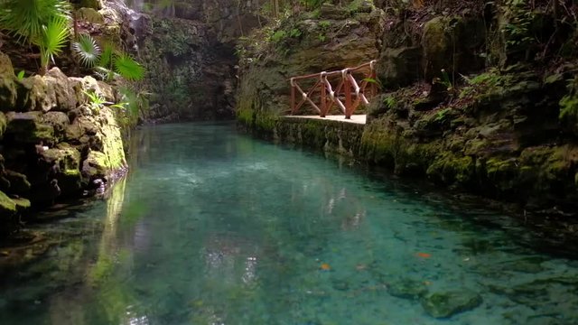 Blue river end Red Macaw parrots In  Xcaret &ndash; Mexico