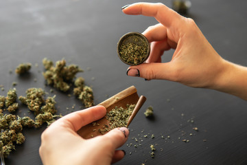 Marijuana use concept. Close up of marijuana blunt with grinder. Woman preparing and rolling...