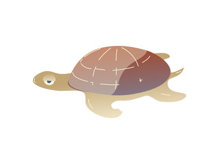 Cartoon turtle on white background. Water life.