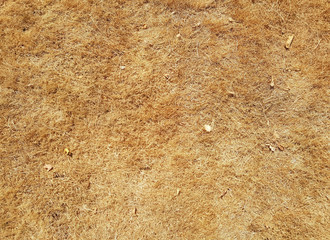 ausgetrockneter Rasen