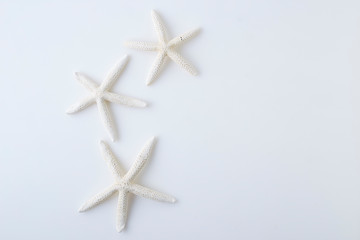 star fish on white background