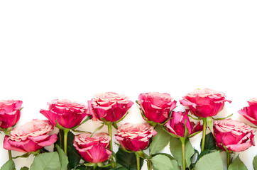 Flowers composition. Roses flowers on white background. Flat lay, top view, copy space. - Image