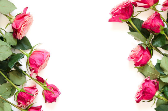 Flowers composition. Frame made of rose flowers on white background. Flat lay, top view, copy space. - Image