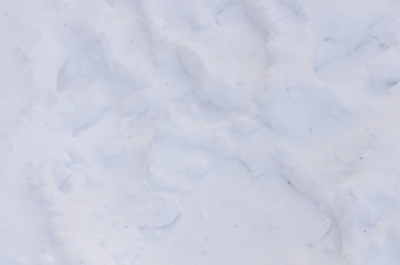 a snowed texture background