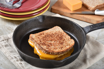 Fresh grilled cheese sandwich