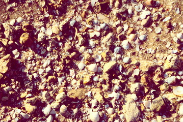 background of sea sand with small stones and shells
