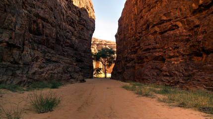 Abstract Rock formation at plateau Ennedi in Terkei valley in Chad