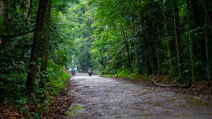 forest and society interaction