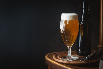 Glass beer on dark background with copy space