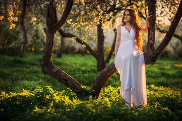 Beautiful bride with long hair sitting on a tree. At sunset in the spring.