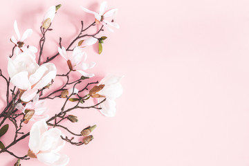 Flowers composition. Magnolia flowers on pastel pink background. Flat lay, top view, copy space