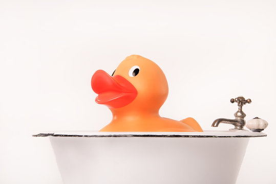 quietschente in badewanne