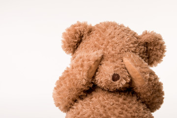 weinendes teddyportrait