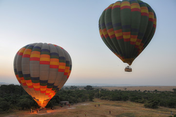 Obraz premium Balloons flying in savannah
