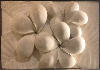 beautiful stucco plumeria white beige color for wall decoration, Imitation art of flower for interior decoraton