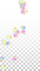 Vector Realistic Colorful Petals Falling on Transparent Background.  Spring Romantic Flowers Illustration. Flying Petals. Sakura Spa Design. Blossom Confetti. Design Elements for Wedding Decoration.