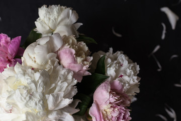 Peonies bouquet on black background