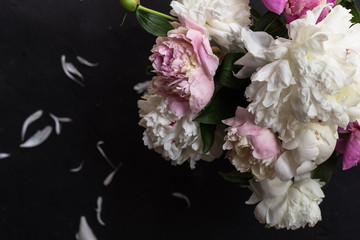 Peonies bouquet on black background