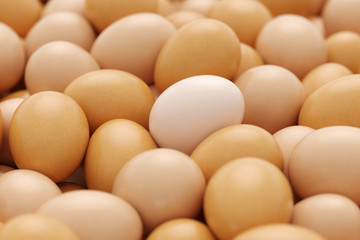 background of fresh eggs