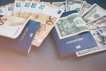 Foreign passport and money. Travel concept photo. Holidays in the USA or Europe and new countries. Dollars and euros banknotes.