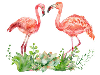 A pair of pink watercolor flamingos facing each other. Hand-painted illustration with pink flamingos walking through the succulents, isolated on a yellow background.