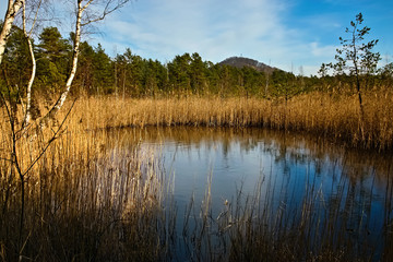 Little lagoon in czech tourist region of Machuv kraj