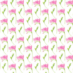 Seamless pattern with spring flowers: pink freesia, watercolor painting