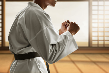 Martial arts fighter