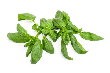 Fototapeta premium Twigs of green basil on a white background close-up