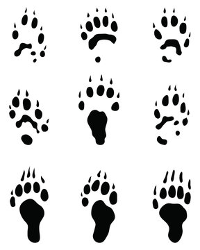 Black footprints of polecat on a white background