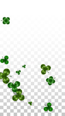 Vector Clover Leaf  Isolated on Transparent Background with Space for Text. St. Patrick's Day Illustration. Ireland's Lucky Shamrock Poster. Invintation for Concert in Pub. Top View. Success Symbols.