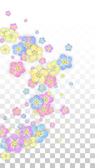 Colorful Vector Realistic Petals Falling on Transparent Background.  Spring Romantic Flowers Illustration. Flying Petals. Sakura Spa Design. Blossom Confetti. Design Elements for Wedding Decoration.