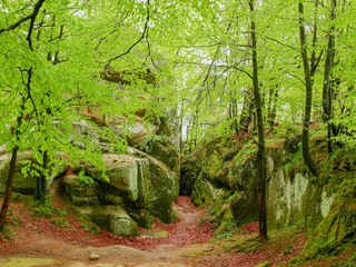 Rock outcrops in forest, landscape park Dovbush rocks. Carpathians, Ukraine